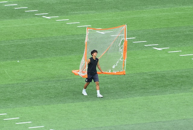 遇野生大熊