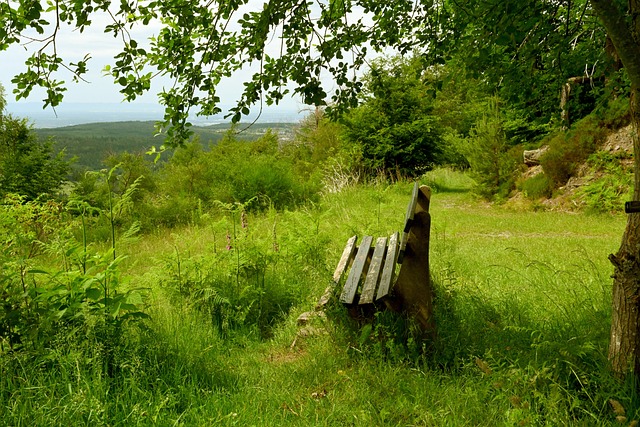 战略布局 战略布局