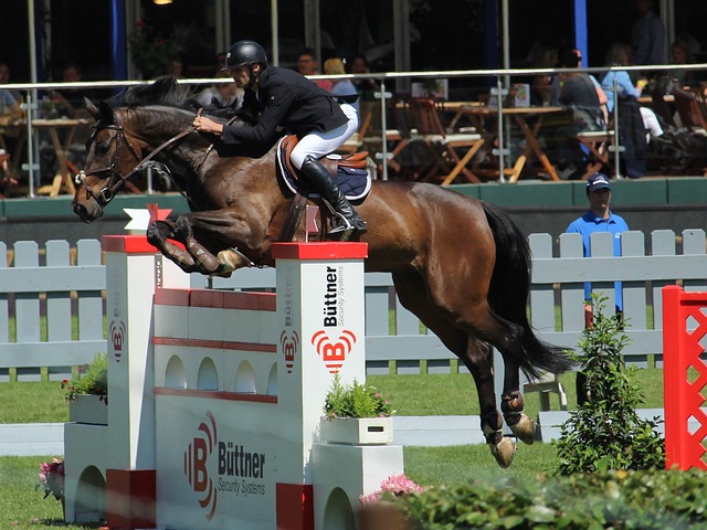 激烈的情况 激烈的情况