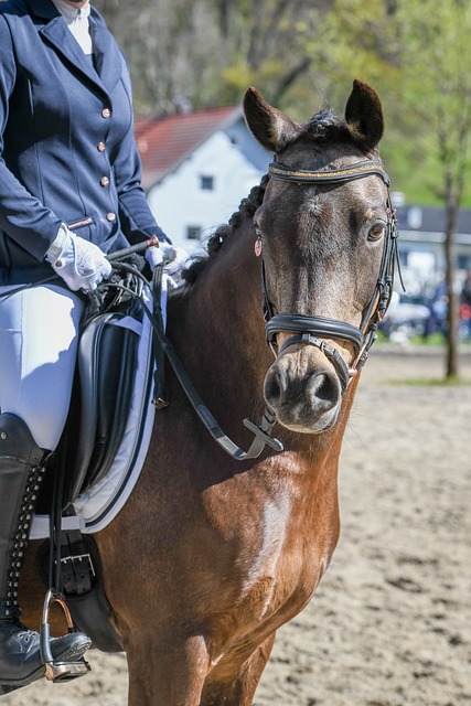 到独行侠的 到独行侠的