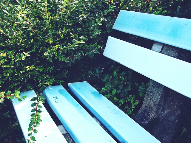 個人榮譽 個人榮譽