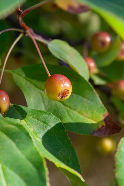 赛季中最亮 赛季中最亮