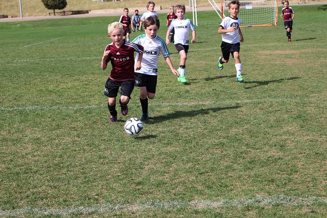 的远射世界 的远射世界