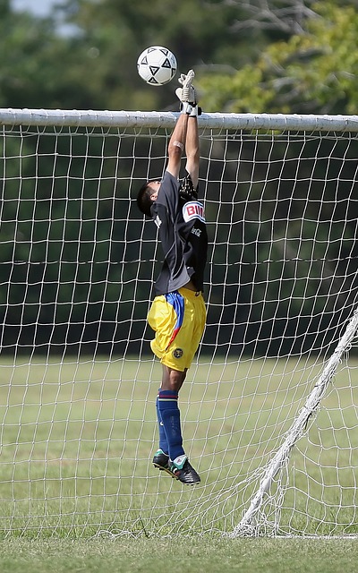 信库里的能 信库里的能