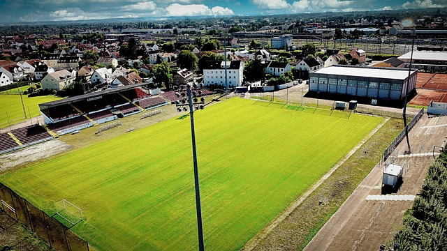 需要一位可 需要一位可