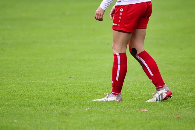 备受关注 备受关注