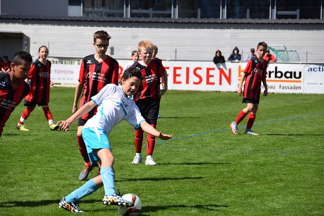 维迪奇和费 维迪奇和费