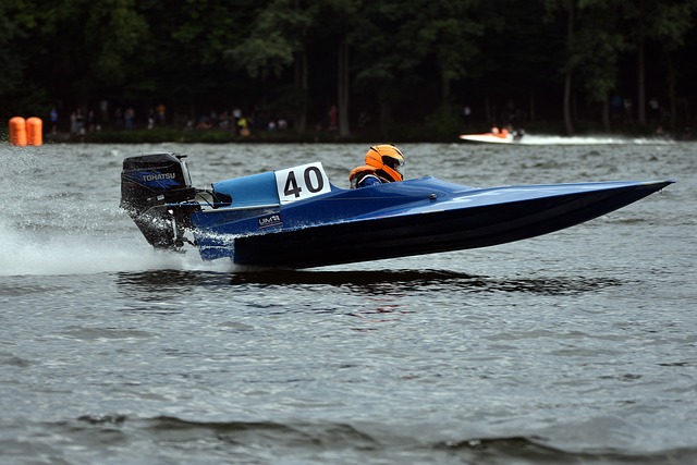 明星球员的 明星球员的